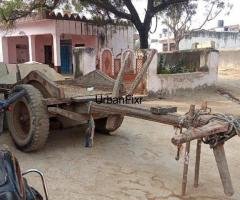 Dhanraj Toys - Bel Gaadi